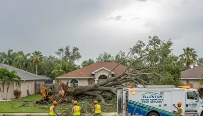 Emergency tree removal crew clearing storm-damaged trees in Ellenton, Sarasota FL after severe weather